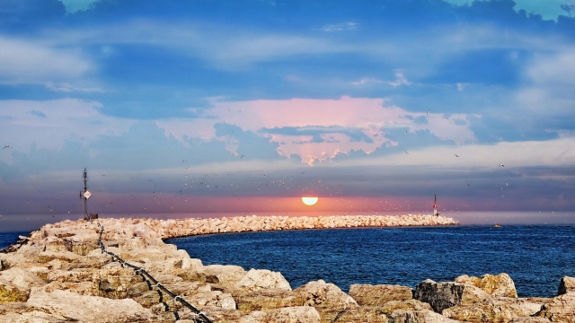 开元集团乒乓球台内正反晃打